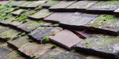 Broome roof repair costs